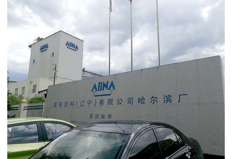 1650759968126685.jpg 11.jpg